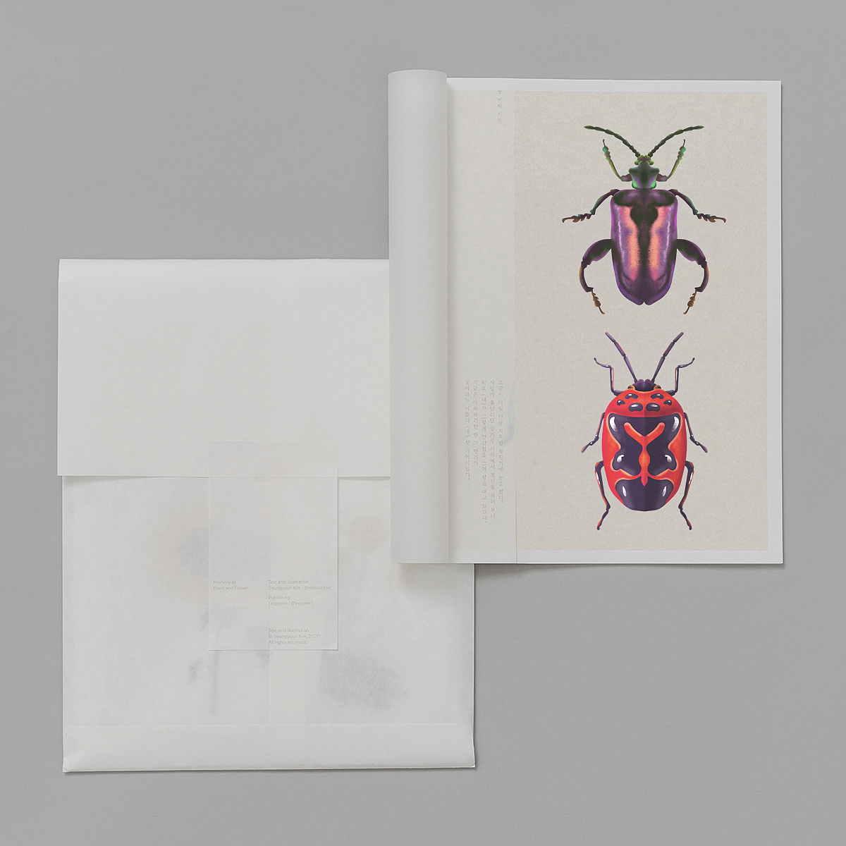 地球の生命 昆虫篇 #01（图ZMjExNzQyMjEy） - 创作习作 - 站酷设计师脉搏原创素材 - 站酷ZCOOL