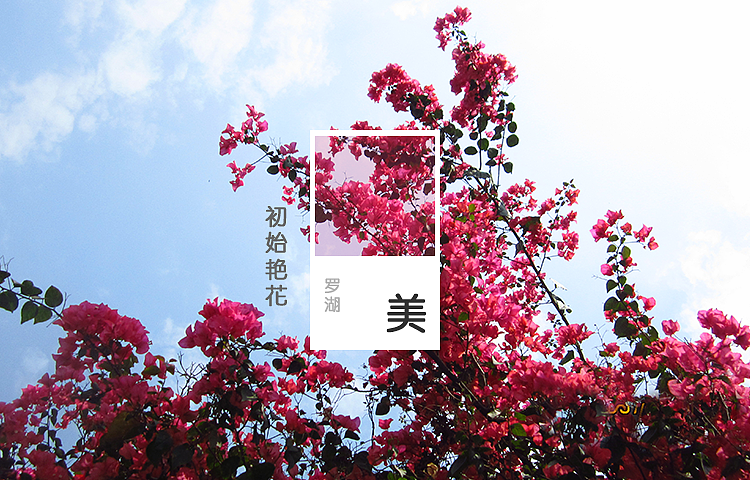 回忆·朝阳·风雪·花杨，品味休逸无穷（图ZODk4OTc5NDA=） - 其他摄影 - 站酷设计师afu1988原创素材 - 站酷ZCOOL