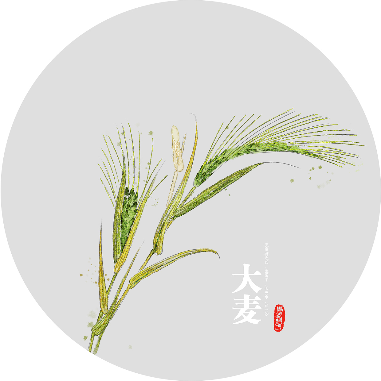 入药（图ZNTg5Nzk3OTY=） - 商业插画 - 站酷设计师胳膊肘原创素材 - 站酷ZCOOL
