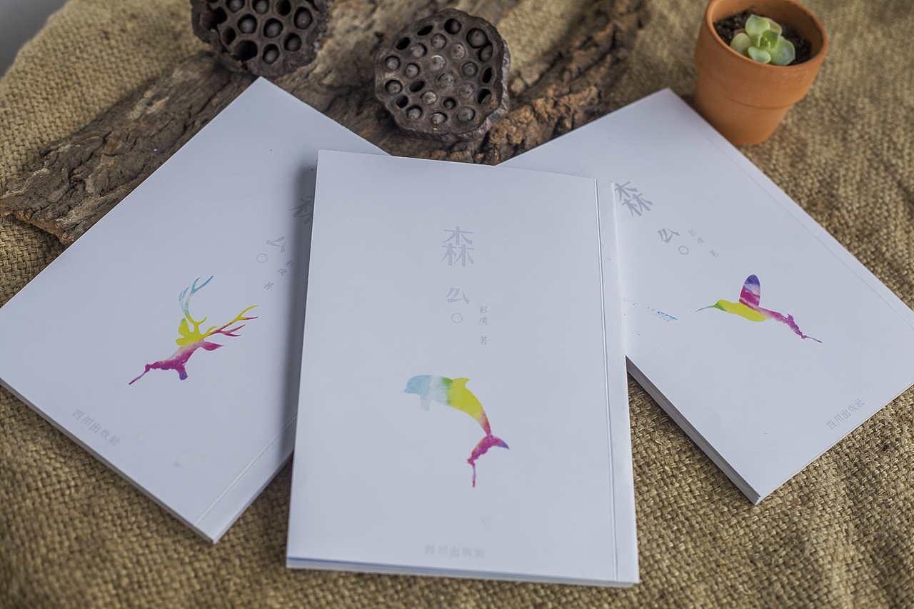 最后一个课程是书籍设计,一并做到毕业设计里面。