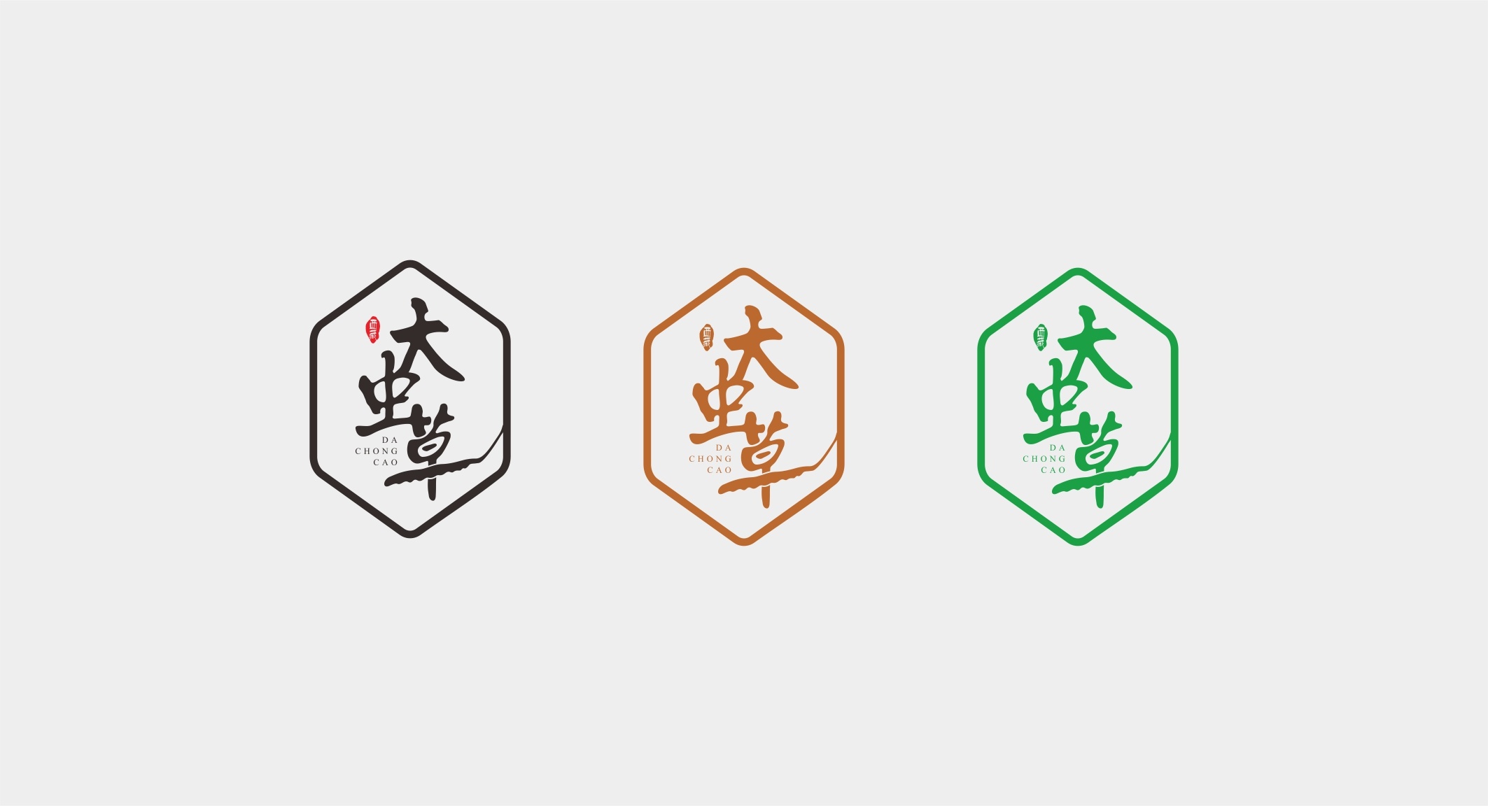 高端补品药材品牌丨大虫草logo设计