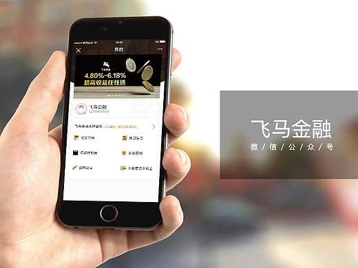 界面_飞马金融（个人主页-ZMzY0Mjg2MjQ=） - APP界面 - 站酷设计师黑林子工作室原创素材 - 站酷ZCOOL