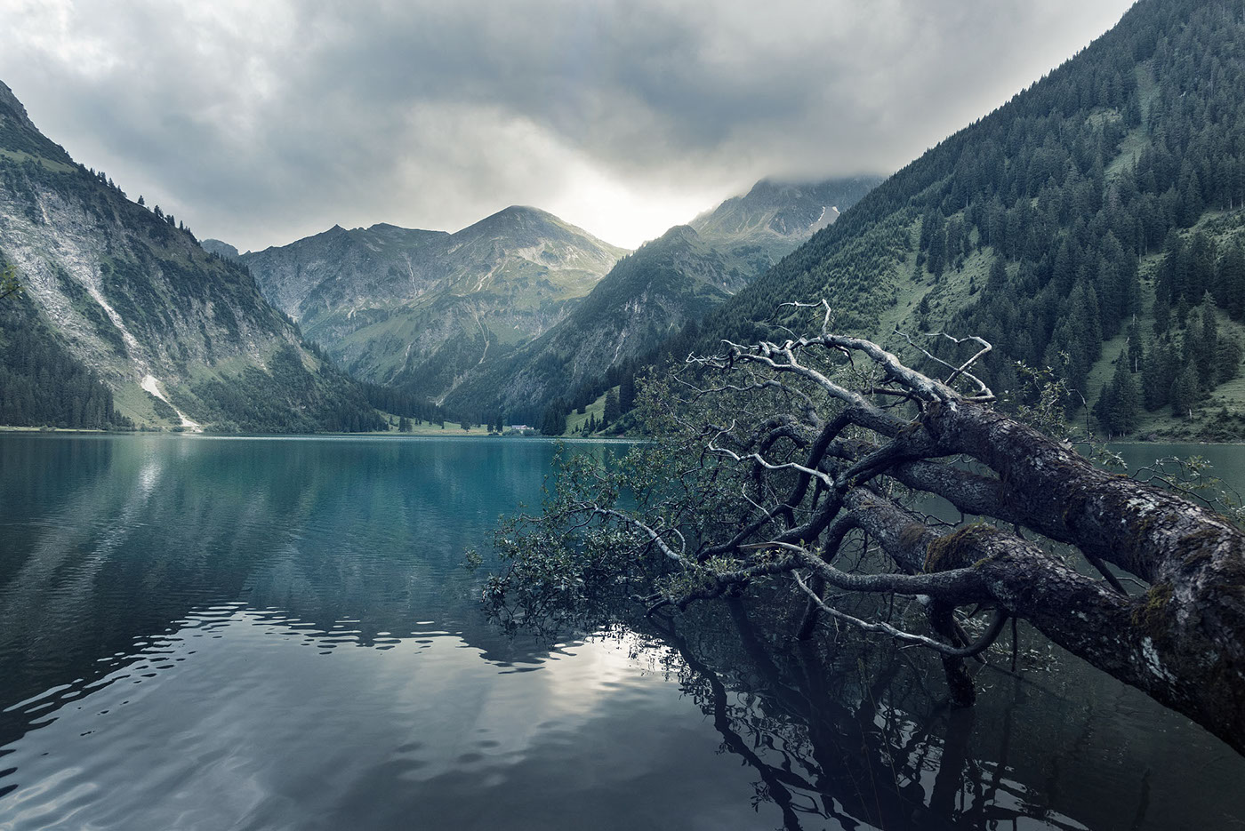 格林EA的個人主頁（封面預(yù)覽） - 主頁封面設(shè)置 - 站酷設(shè)計師格林EA原創(chuàng)素材 - 站酷ZCOOL