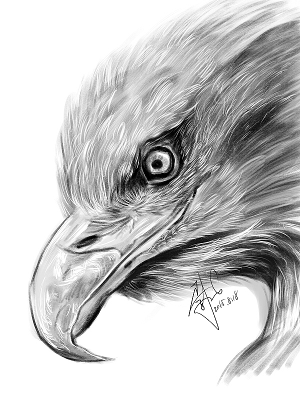 8月每日一涂插画、儿童漫画、Q版人物绘制线稿以及动植物绘画集（图ZMzMxMDE1NjQ=） - 新锐潮流插画 - 站酷设计师果心插画设计原创素材 - 站酷ZCOOL