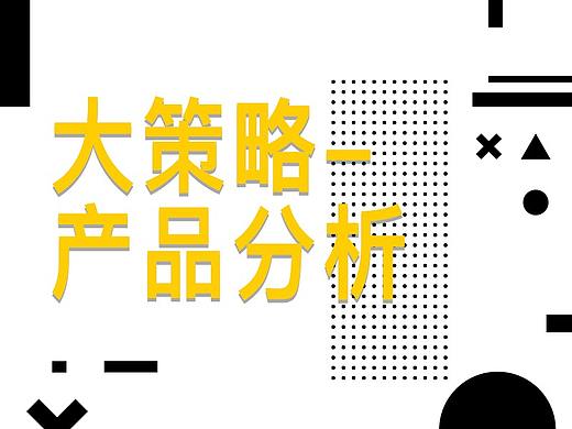 大策略产品分析