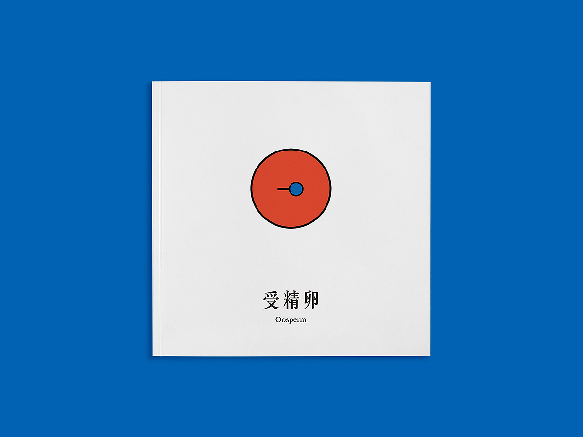 【毕业设计】三十八度女子防身学院（图ZMTI5MjgyNDgw） - 品牌 - 站酷设计师木子的彗心原创素材 - 站酷ZCOOL