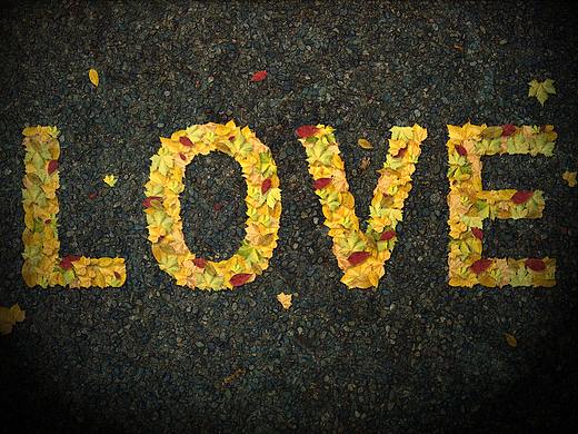秋天落叶LOVE字体特效