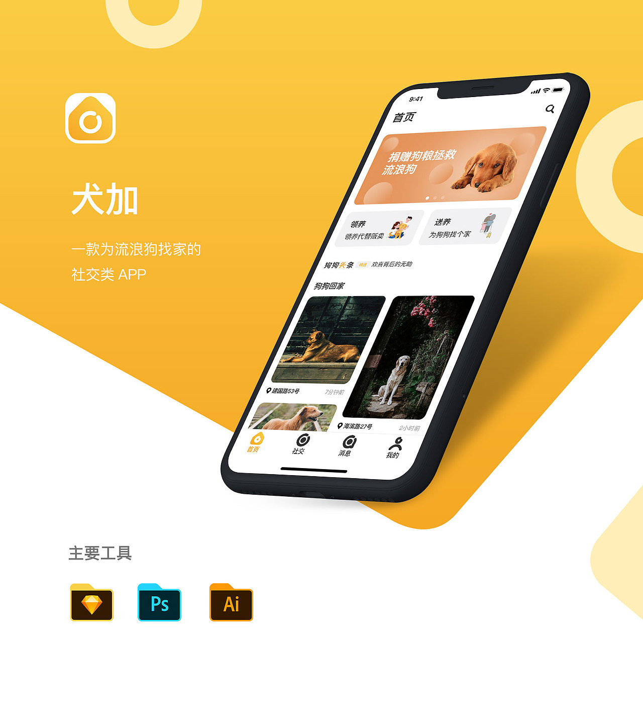 犬加 —— 它们缺个家,家里缺个它