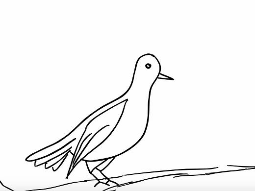 2019-2d-04-bird（個(gè)人主頁-ZNDIxMDA5MDQ=） - 其他動(dòng)漫 - 站酷設(shè)計(jì)師Charlene_Li原創(chuàng)素材 - 站酷ZCOOL
