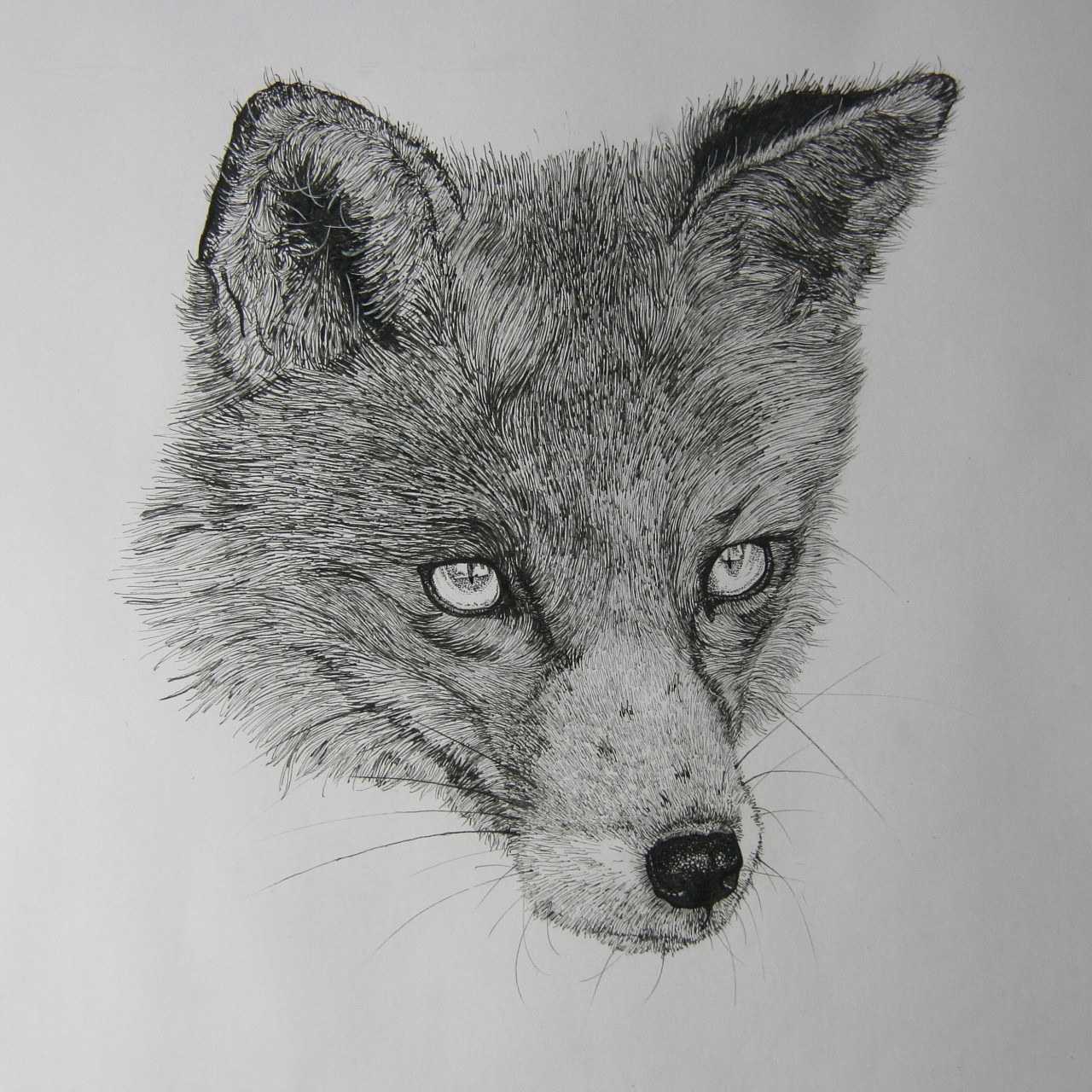 只求画出更好的钢笔画!希望各位多多点评,多多指教,谢谢