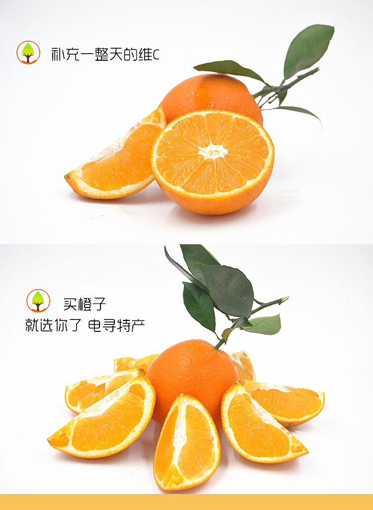 赣南脐橙详情页（图ZODIxMTM4NDg=） - 电商 - 站酷设计师Meet战神原创素材 - 站酷ZCOOL