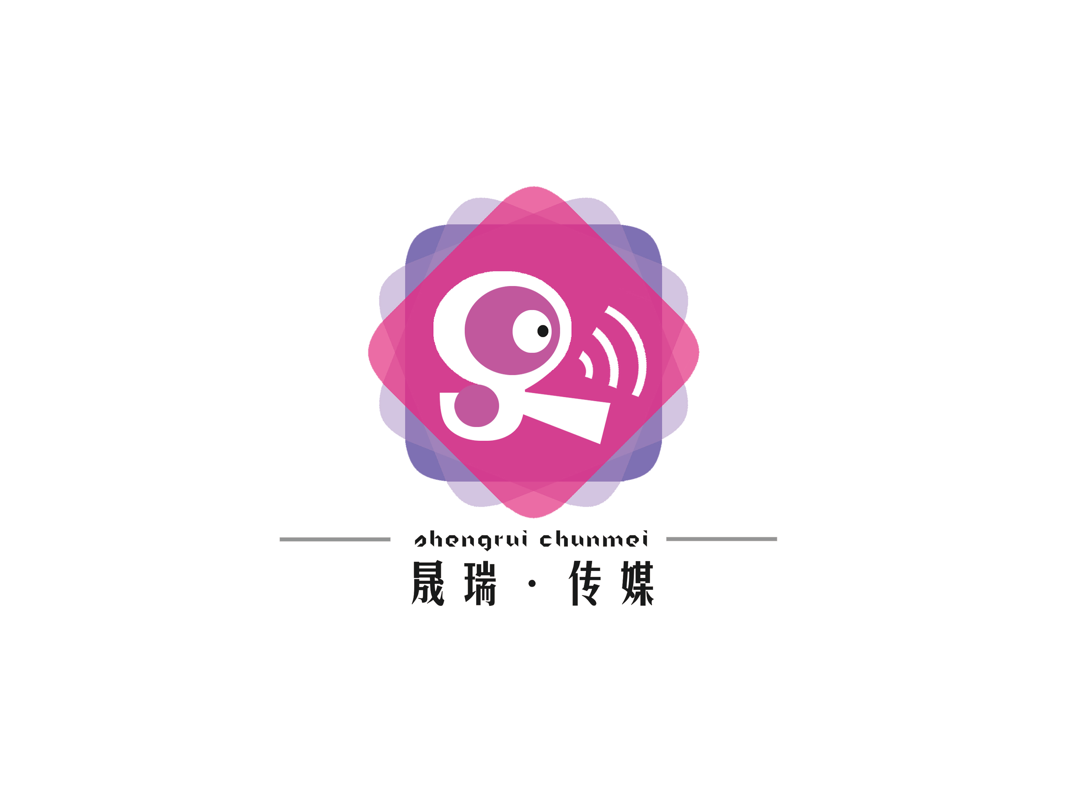 晟瑞传媒有限公司logo