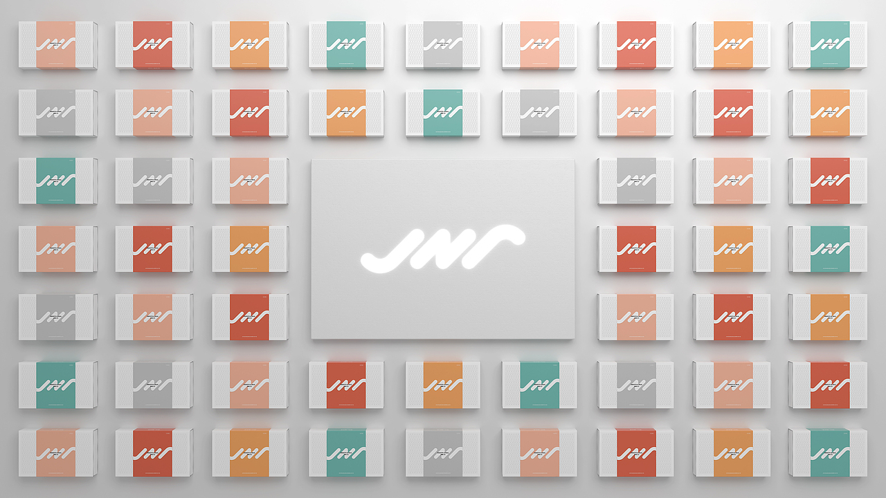 JNR尊悦品牌形象与包装