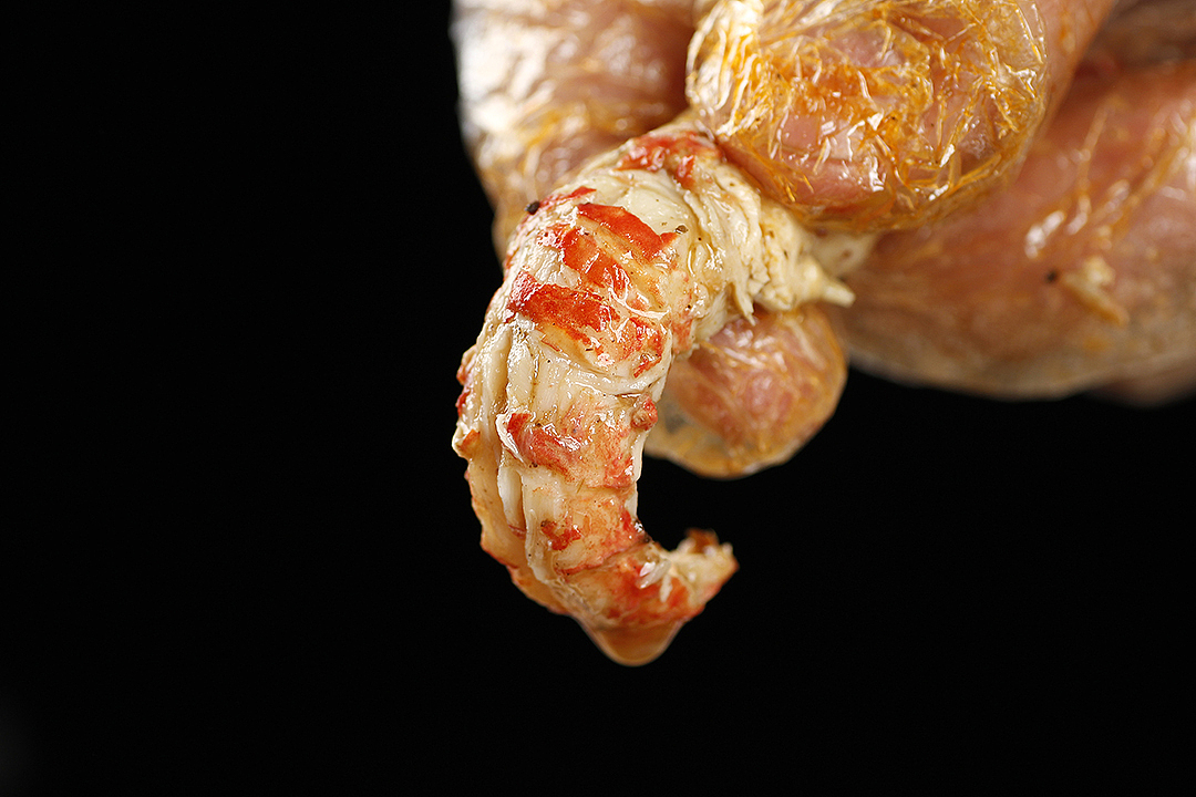 速食小龙虾部分样片丨飞鸟电商（图ZMTUyOTY3ODI0） - 产品摄影 - 站酷设计师陈默工作室原创素材 - 站酷ZCOOL