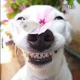 是小余儿啊的头像