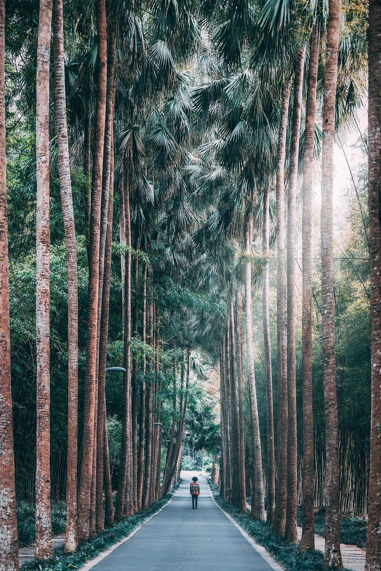 城视中国 | 异域西双版纳（图ZMjU3MTYzNDgw） - 风光摄影 - 站酷设计师戴帽子的那个路遥原创素材 - 站酷ZCOOL