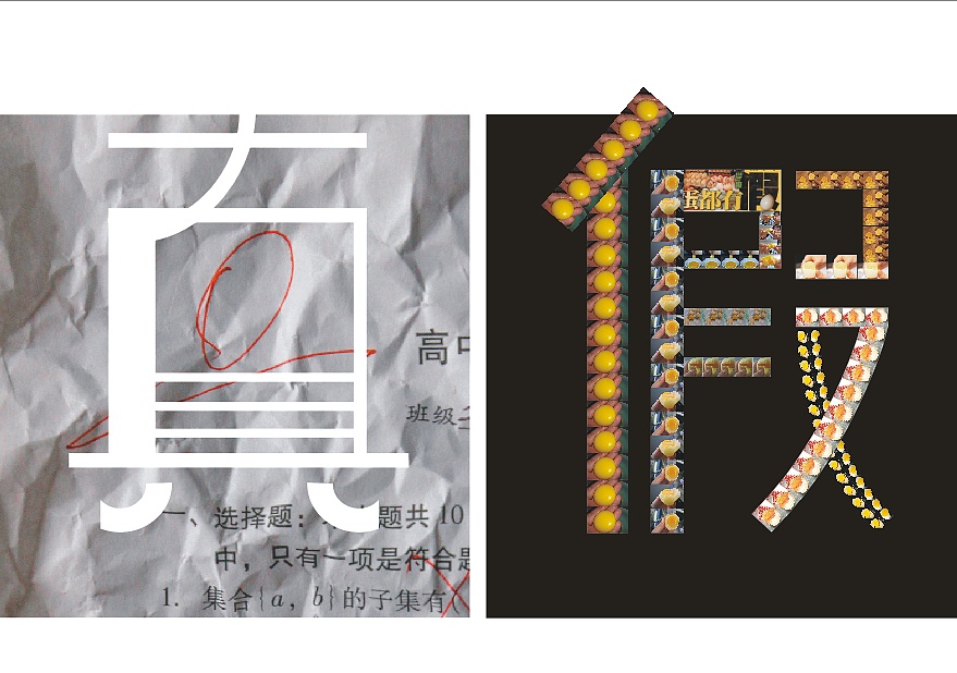 真与假实验艺术探究 之三 社会生活