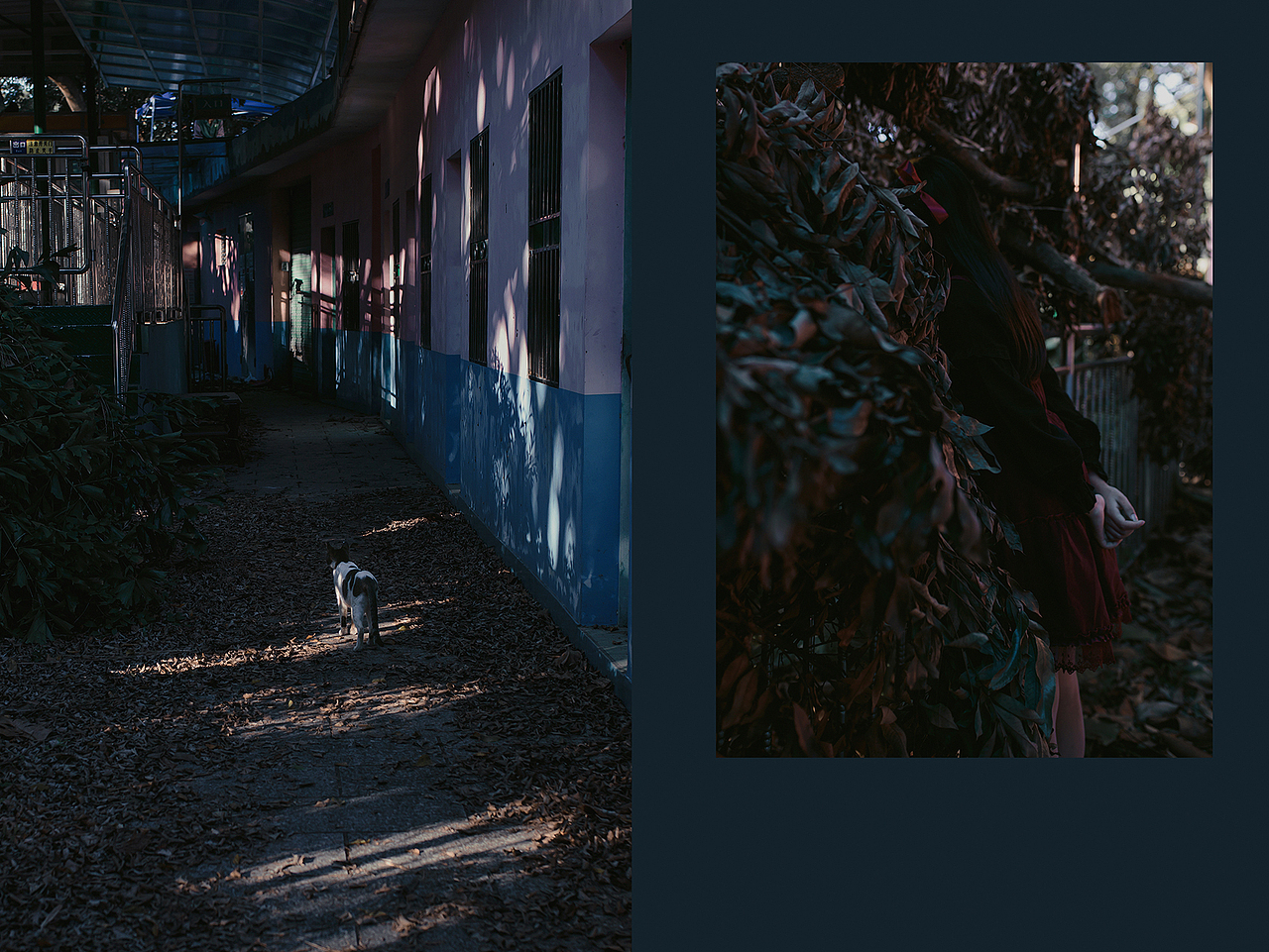 墟生（圖ZMTM4MzE5MTQ0） - 人像攝影 - 站酷設(shè)計(jì)師林視界原創(chuàng)素材 - 站酷ZCOOL