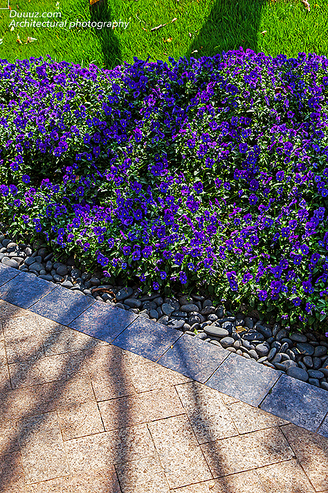 独尊建筑摄影:世茂城景观