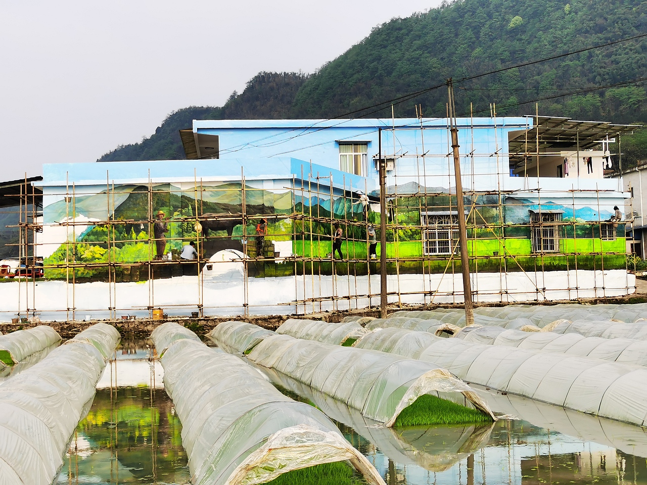 新农村墙绘,新农村壁画,乡村文化墙,农村墙绘