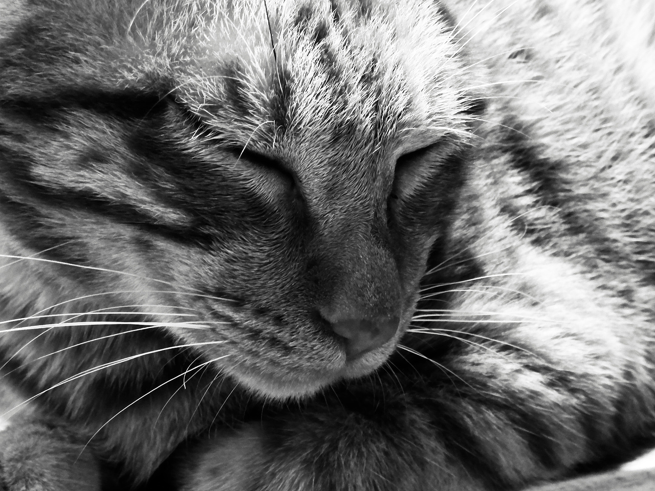 手机摄影(部分相机原片,手机后期)选集