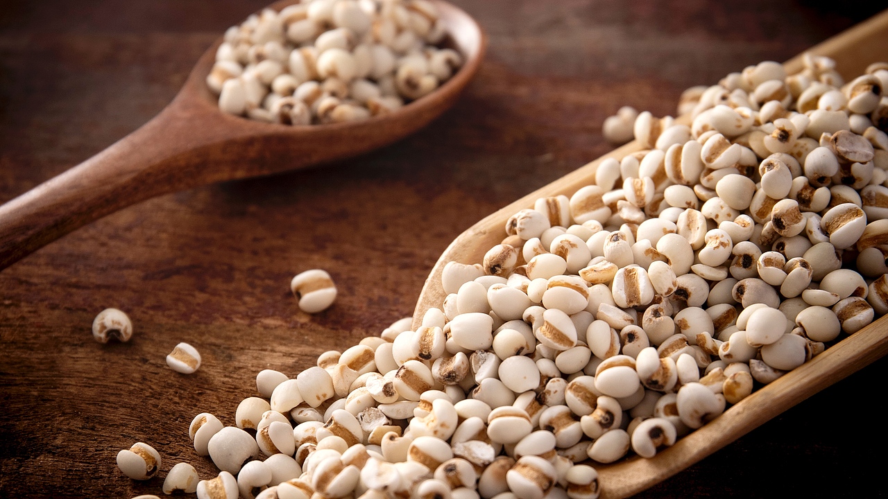 五谷杂粮薏米仁