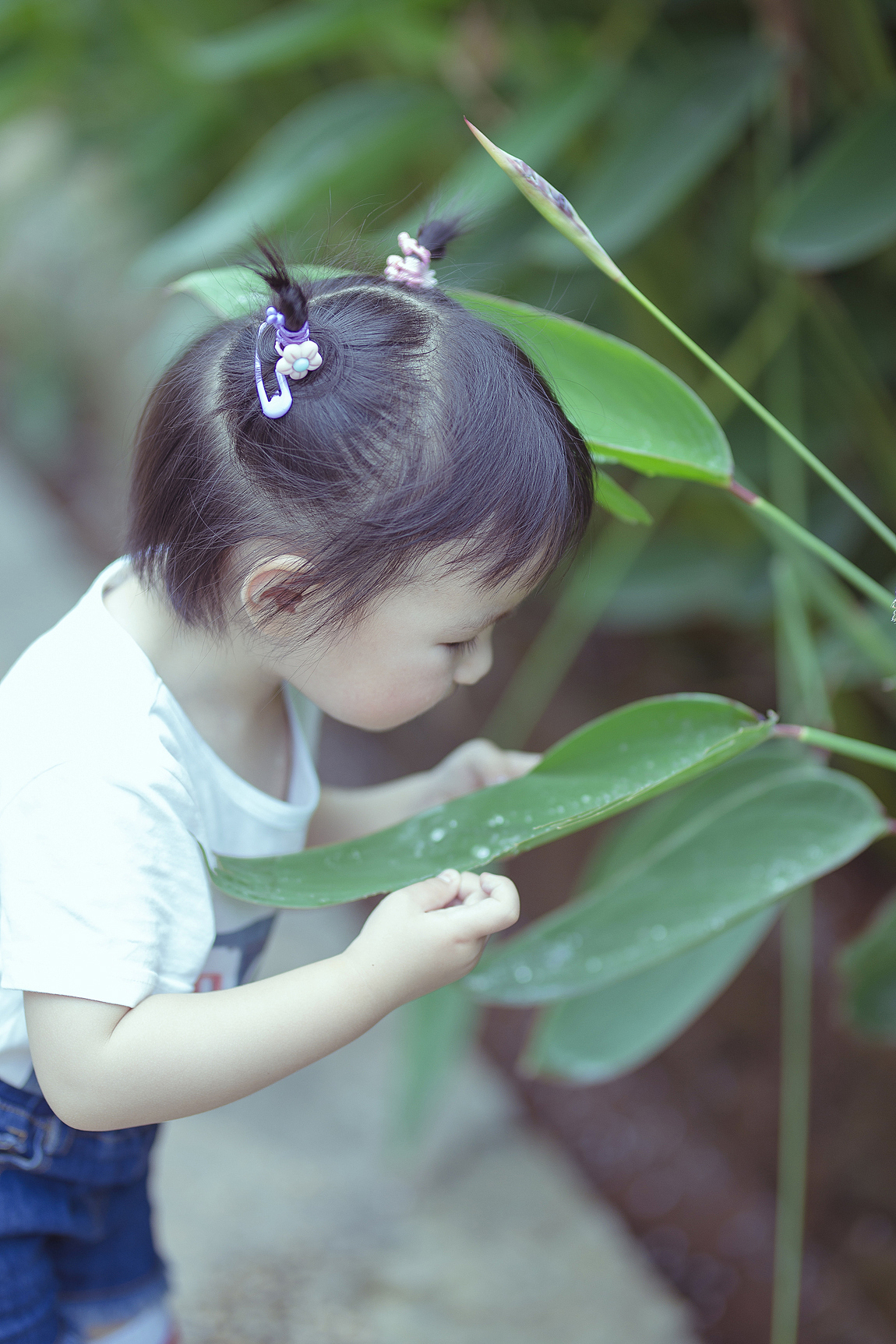 臭粑粑抵不过小桃子