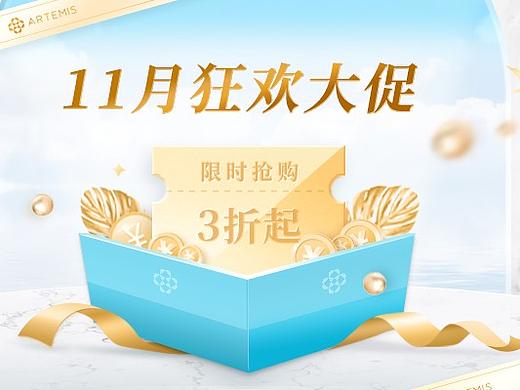 21年电商大促双十一