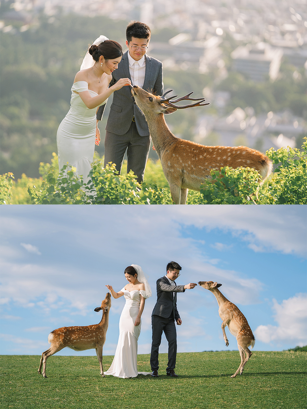 日本婚纱旅拍 | 奈良婚纱照