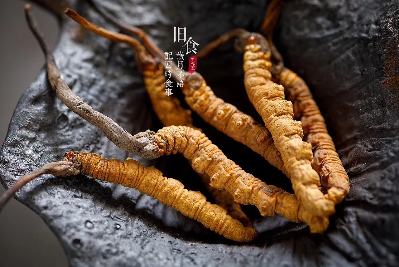 分享一组虫草的商拍。