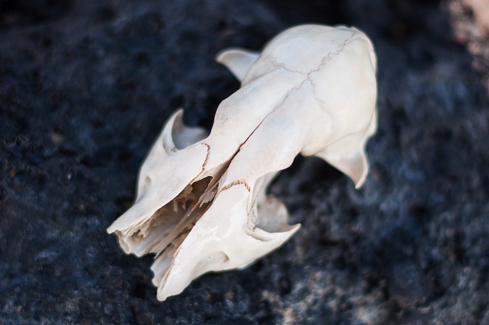 2014.12.28-2015.01.03 北海碧蓝