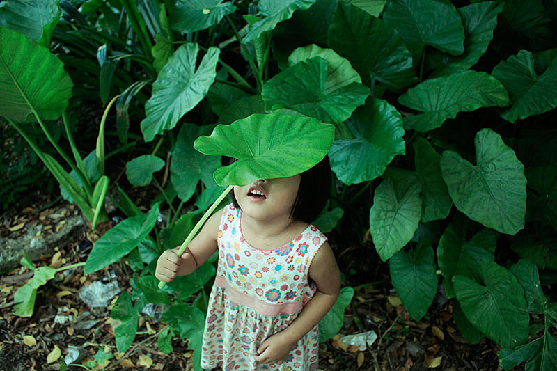 我喜欢的 你的样子
