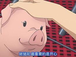 一些产品的效果展示