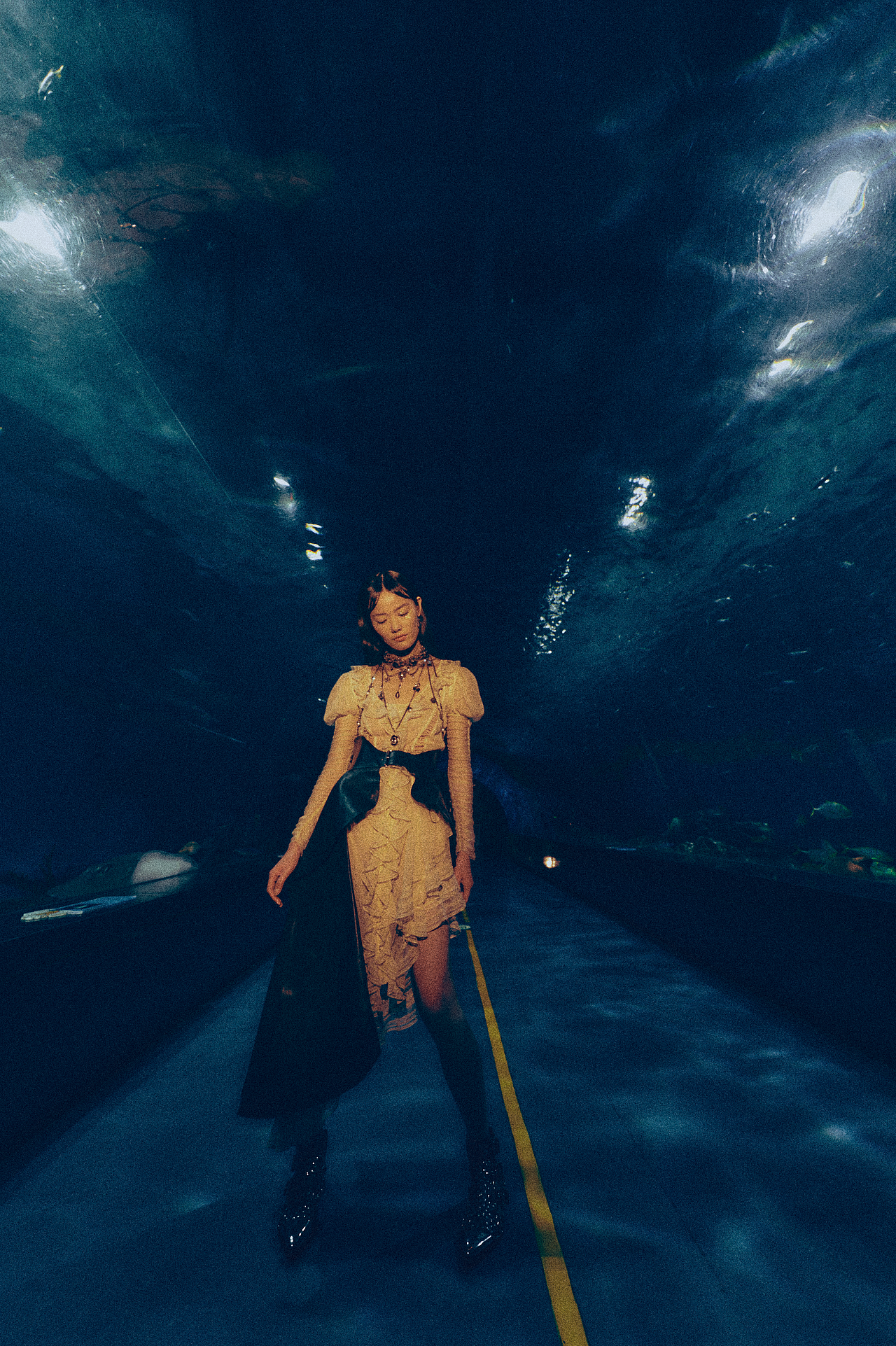 海洋馆大片（图ZMzY3MTQ5MTk2） - 时尚/艺术摄影 - 站酷设计师TimDong原创素材 - 站酷ZCOOL