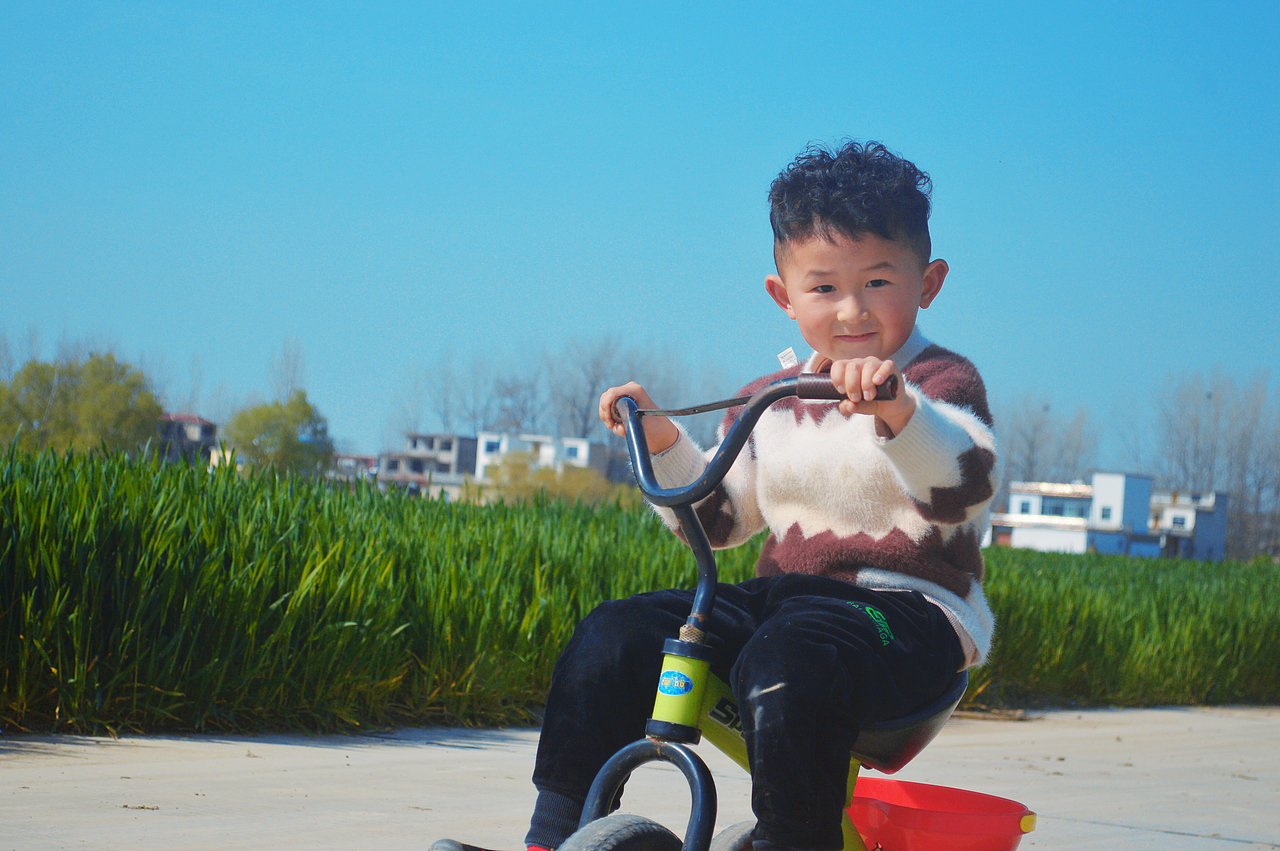 油菜花的季节+1