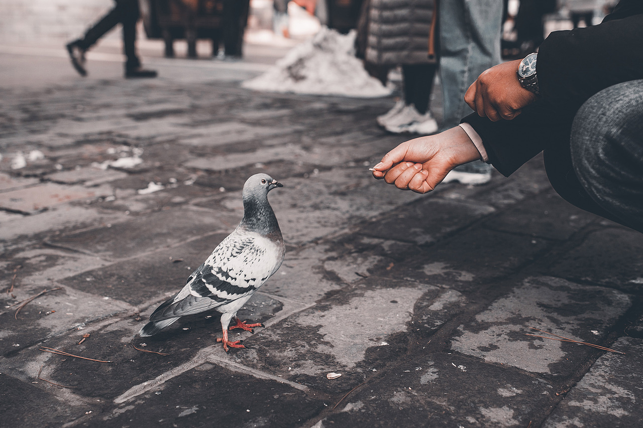 雍和宫---2019初雪