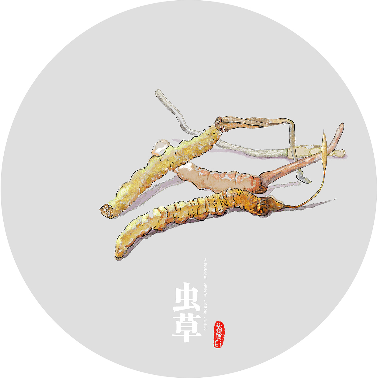 入药（图ZNTg5Nzk3OTI=） - 商业插画 - 站酷设计师胳膊肘原创素材 - 站酷ZCOOL