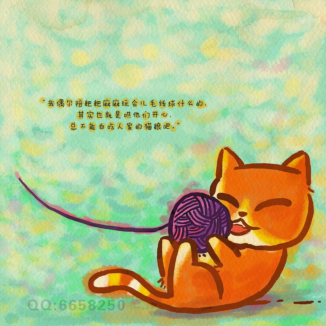《猫言猫语前传第一季》当毛毛还是一只真猫的时候