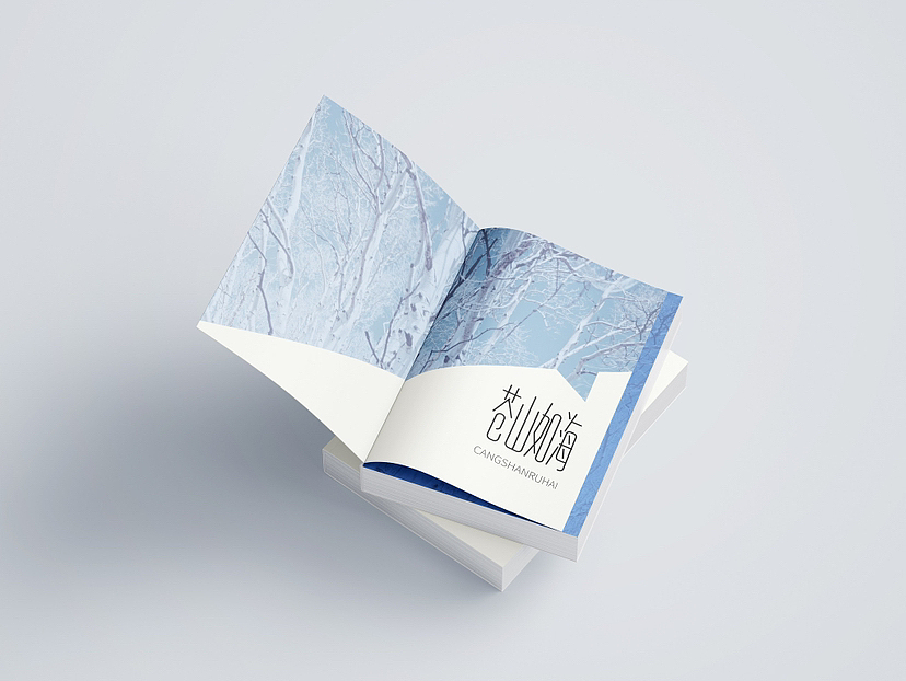 苍山如海 CANGSHANRUHAI 标志设计