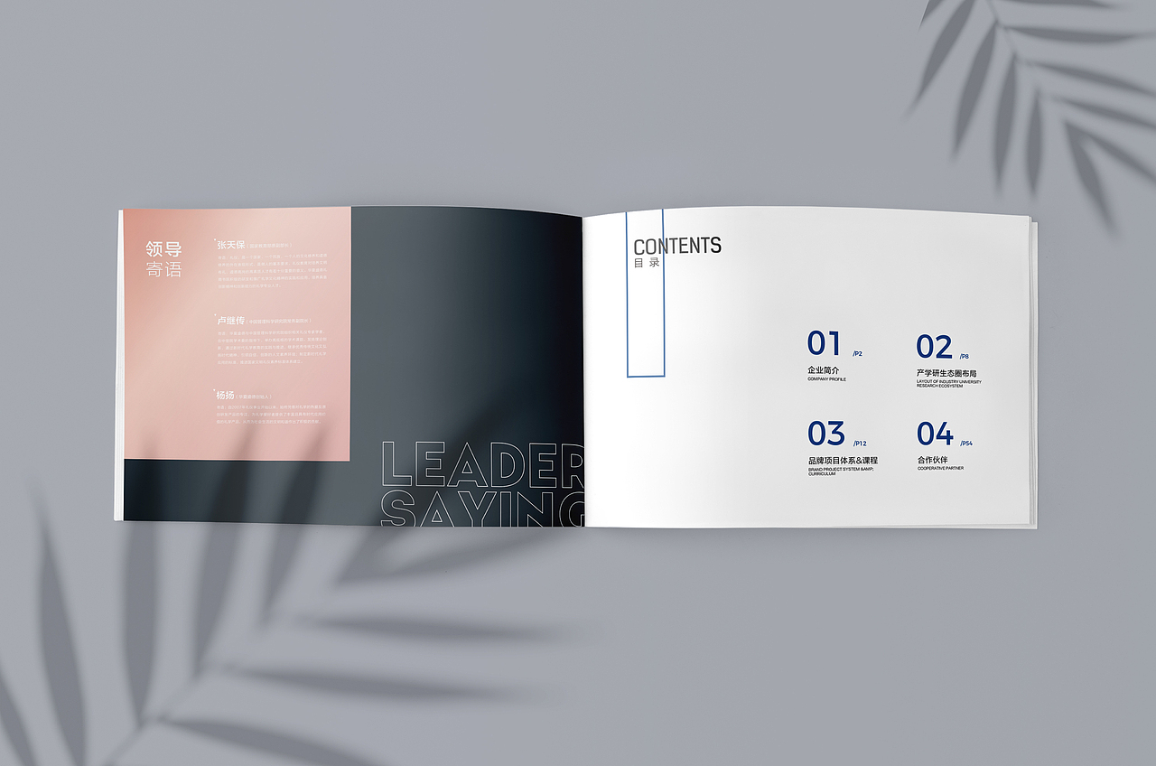 產(chǎn)品畫冊(cè)（圖ZMjI2MDQyNjY4） - 書籍/畫冊(cè) - 站酷設(shè)計(jì)師大喜1995原創(chuàng)素材 - 站酷ZCOOL