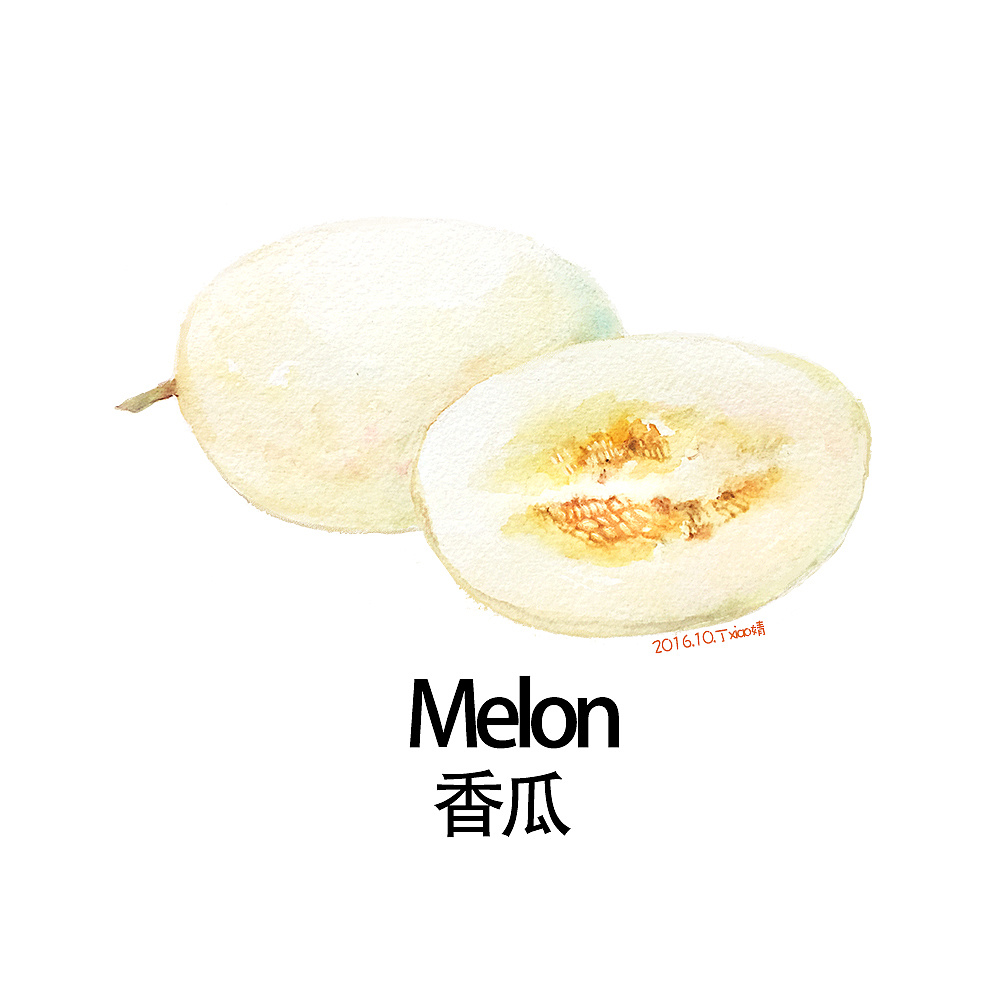 手绘水彩水果系列之香瓜每日一图|插画|创作习作|丁小婧 - 原创作品