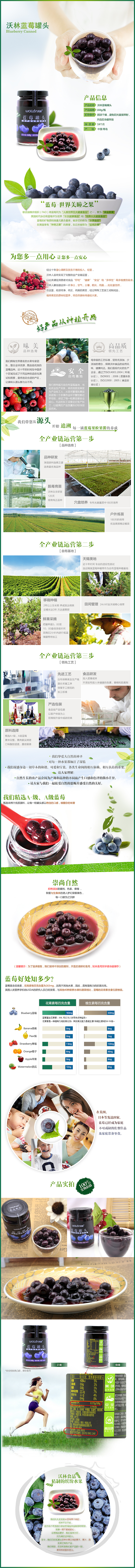 蓝莓果脯果干详情（图ZOTY5ODk1MDA=） - 电商 - 站酷设计师飞fin原创素材 - 站酷ZCOOL