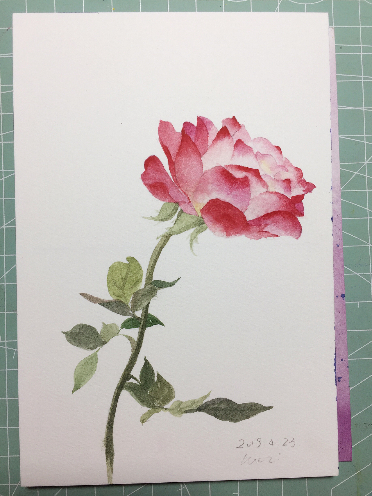 最近的一部分水彩练习作品