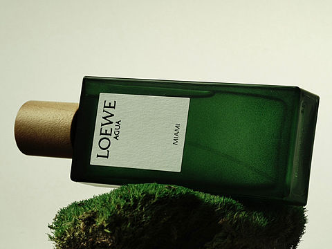 香水拍摄｜LOEWE迈阿密·在绿色里呼吸