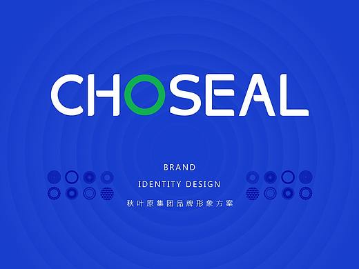 CHOSEAL秋叶原集团品牌设计提案