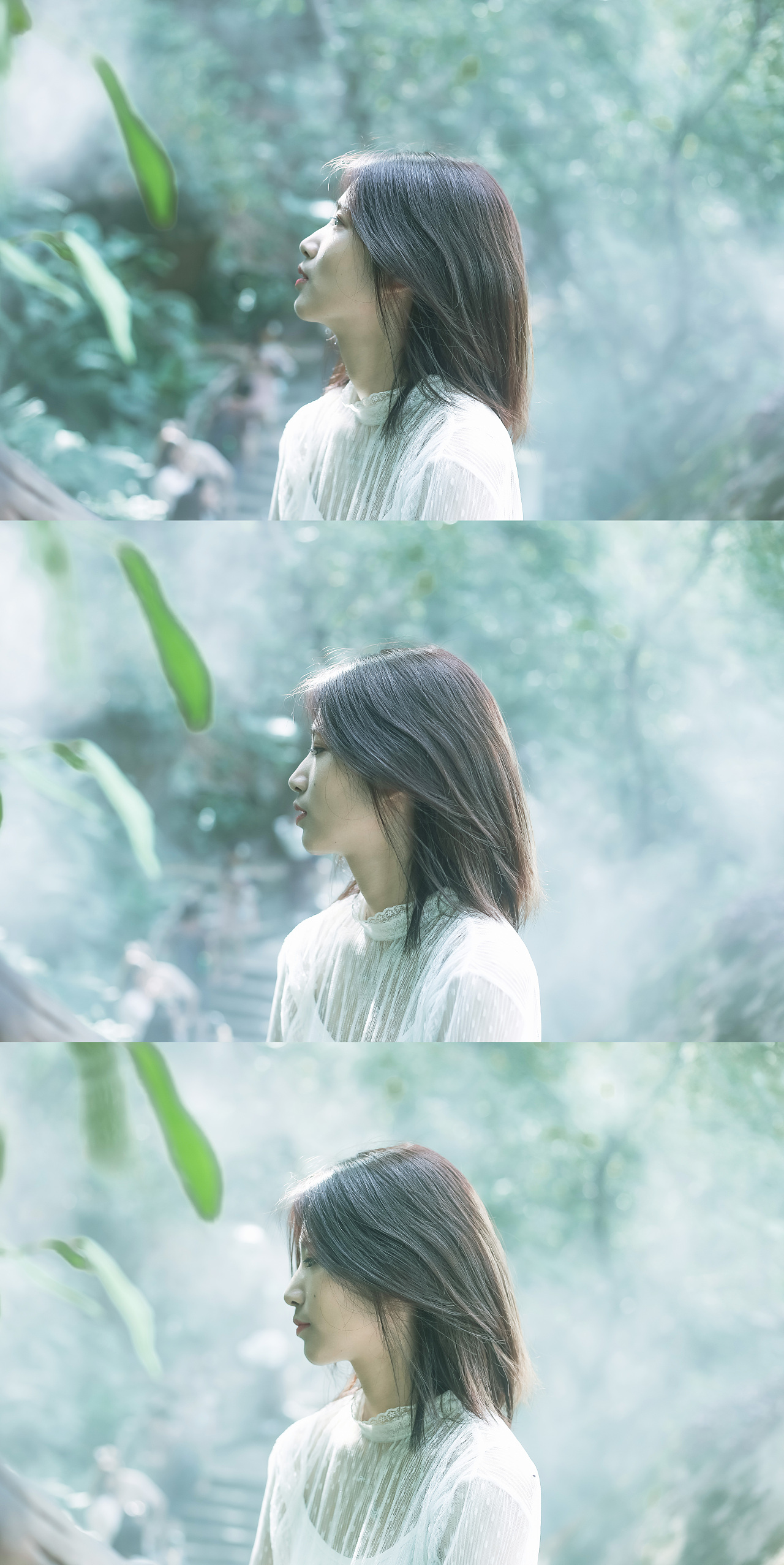 安小姐的徐咕噜 - 厦门植物园