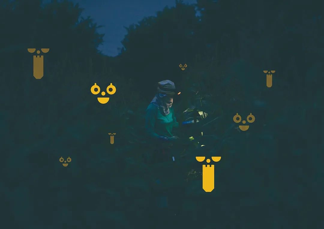 获奖作品 | 《黑暗中的甜玉米》（图ZMjczNzI4Njc2） - 包装 - 站酷设计师hiiibrand原创素材 - 站酷ZCOOL