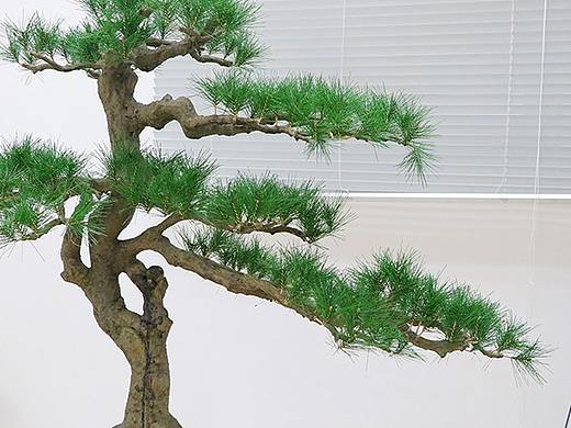 仿真植物的待客之道