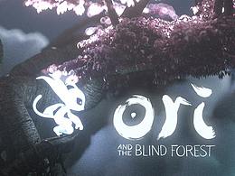是最爱的Ori了