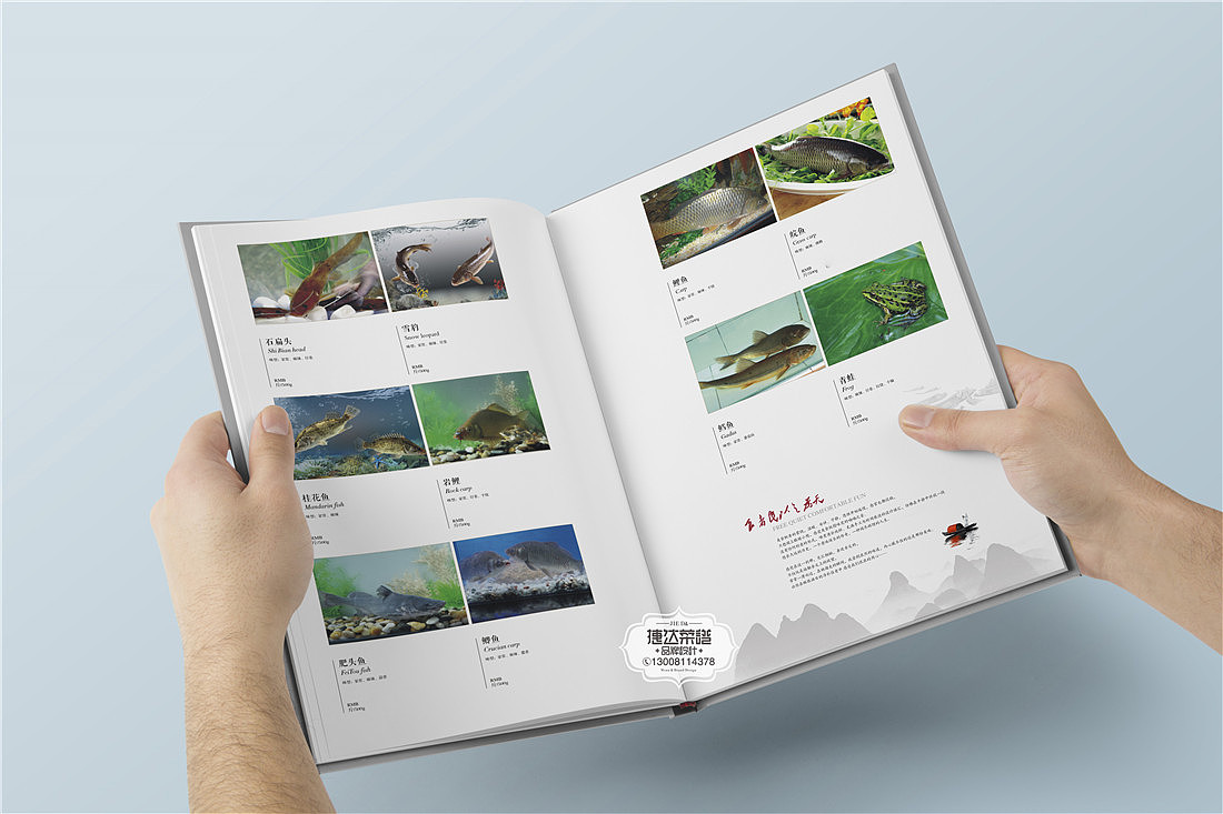 汉安味苑最终篇：河鲜/汤品/小吃菜谱摄影设计公司原创（图ZMTkzODY3NTk2） - 书籍/画册 - 站酷设计师捷达菜谱品牌设计原创素材 - 站酷ZCOOL